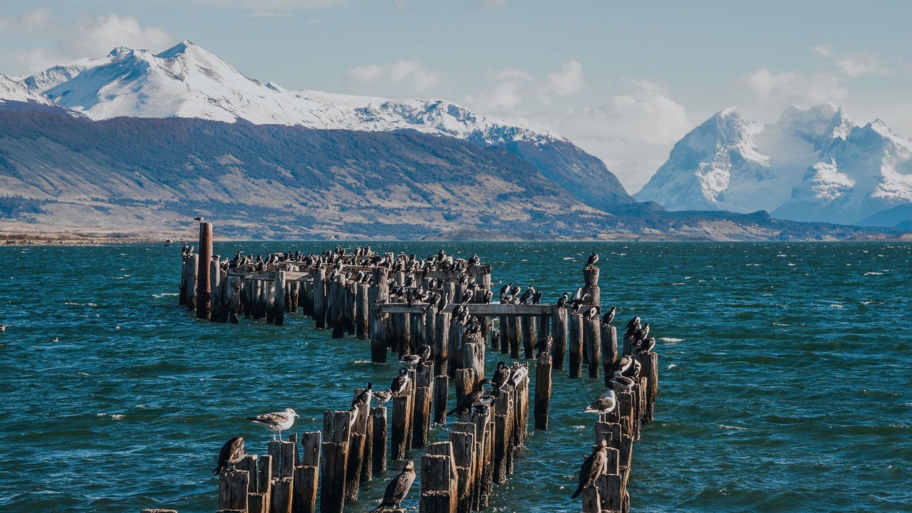 Best of South America: Explore Patagonia